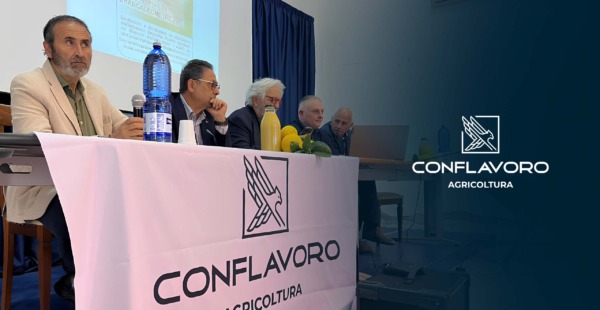 IGP Bergamotto di Reggio Calabria, nuova assemblea pubblica con Conflavoro Agricoltura